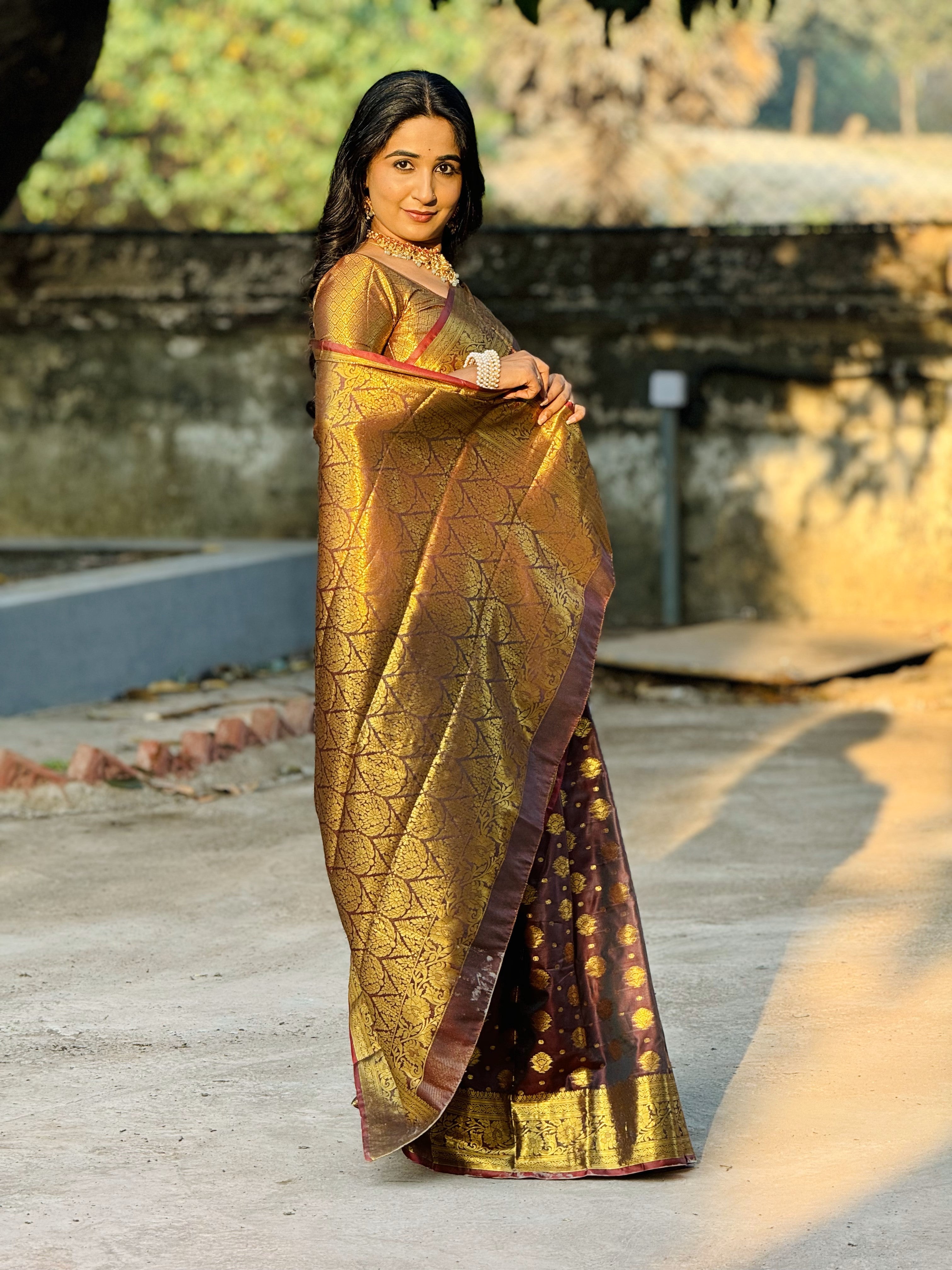 Brown Banarasi Soft Silk Saree