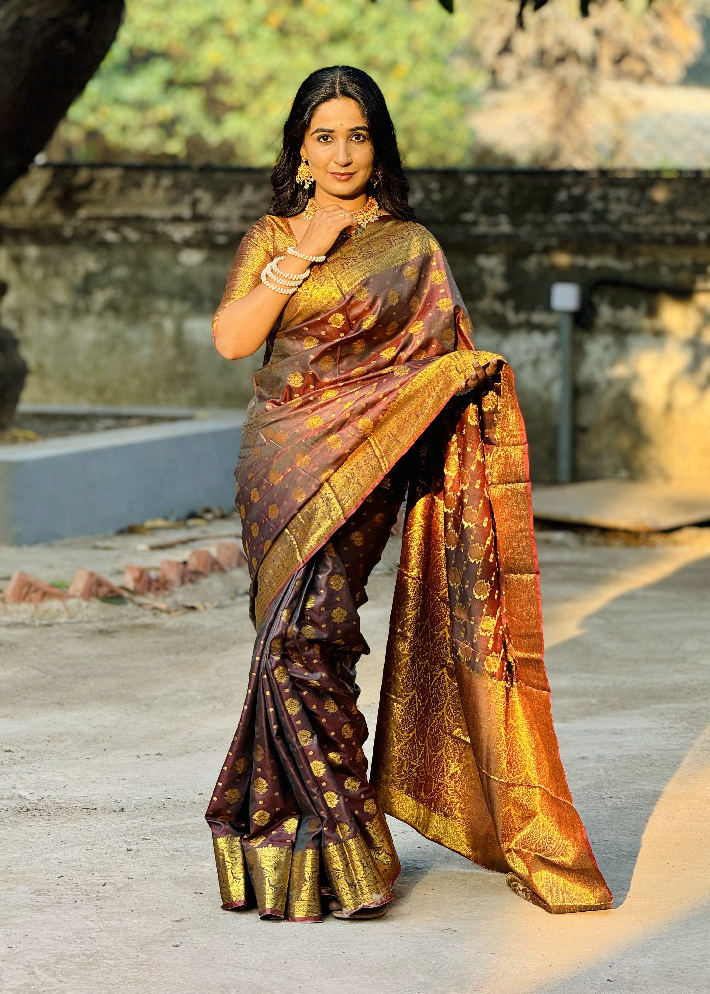 Brown Banarasi Soft Silk Saree