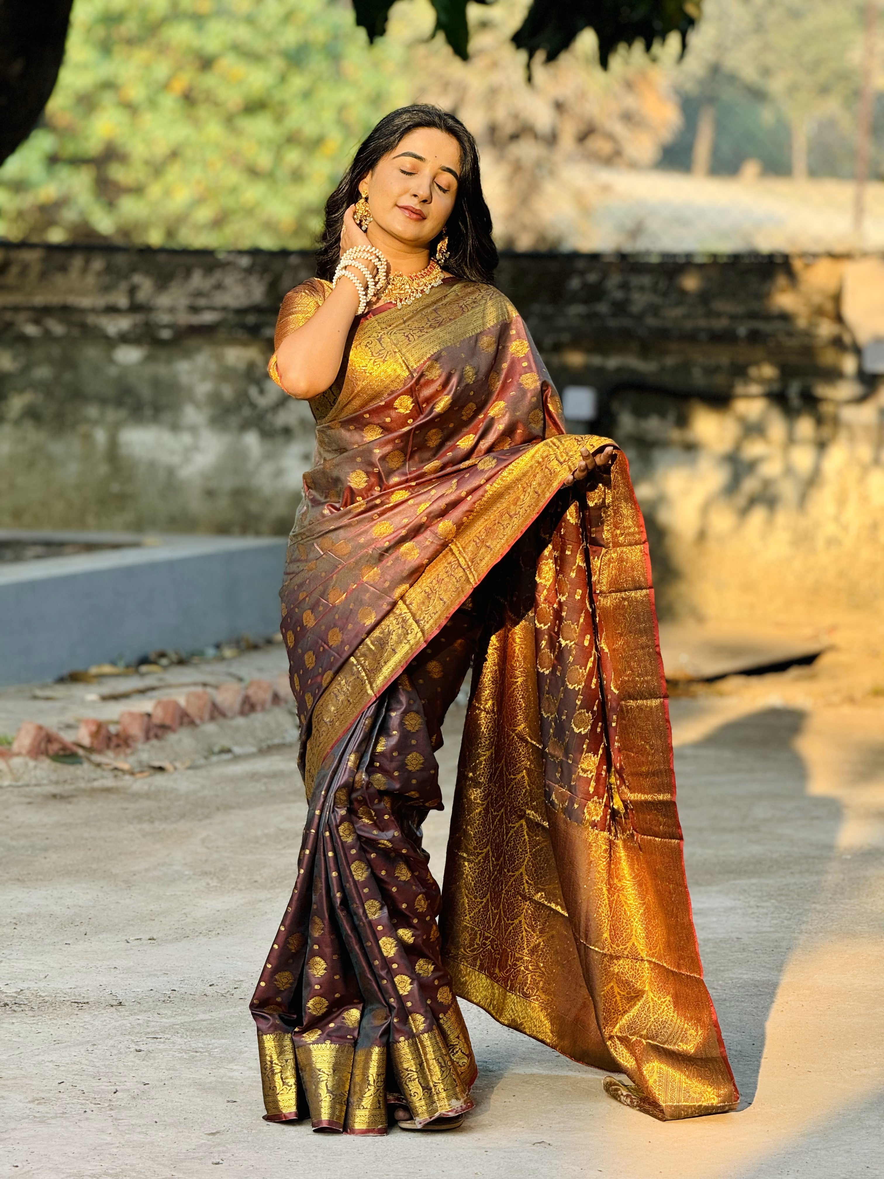 Brown Banarasi Soft Silk Saree