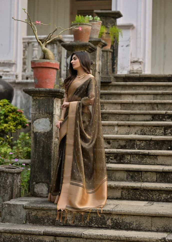 Wedding Wear Soft Kalyani Silk Saree In Dull Brown